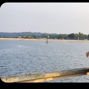 Meet your Posher, Ingrid